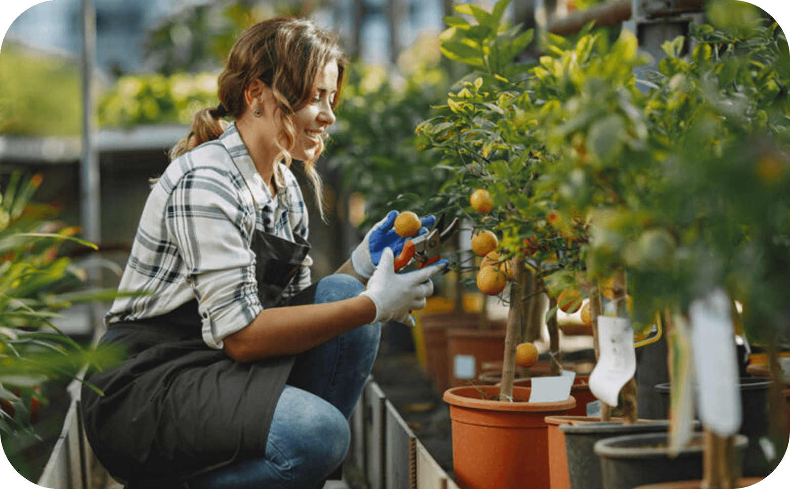 Single Tower Electric